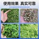 Shigu hay chopper cattle and sheep dry and wet wet grass and silk kneading machine horizontal grass and silk kneading machine crushing machine