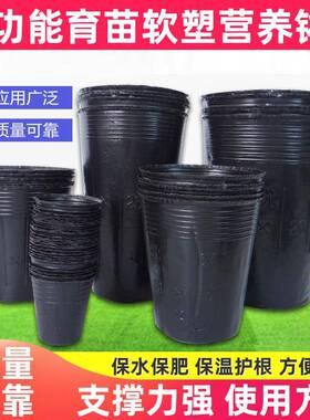 黑色加厚育苗袋营养种植袋育苗杯PE塑料育苗盘植物园艺育苗盆