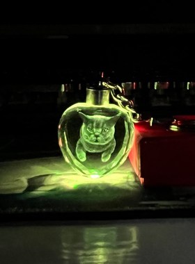 创意宠物去世留念摆件纪念品 小狗狗猫咪定制照片3d内雕灯光挂件