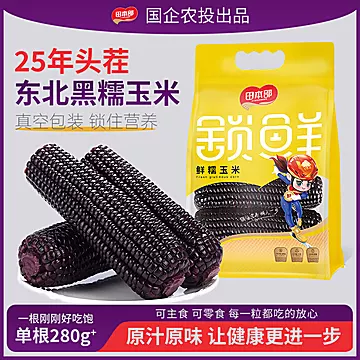 【农投】2025年新玉米8根[5元优惠券]-寻折猪