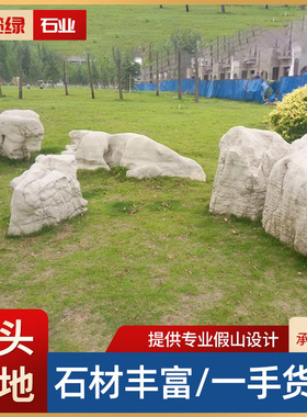 草坪石户外园林绿地点缀石庭院风景石园林苗木绿化景观草坪置石头
