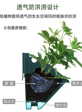 森林盒子V18-4套装植物墙壁挂花盆室外墙面立体绿化花盆多层组合