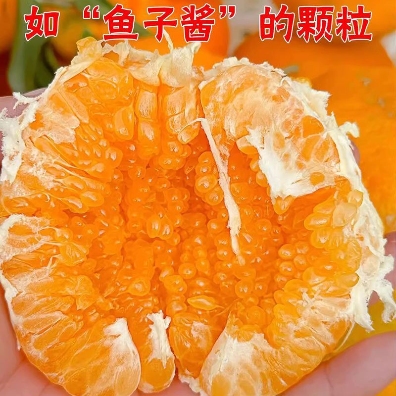 正宗四川春见耙耙柑10斤新鲜水果当季整箱丑八怪橘子特级粑粑柑桔