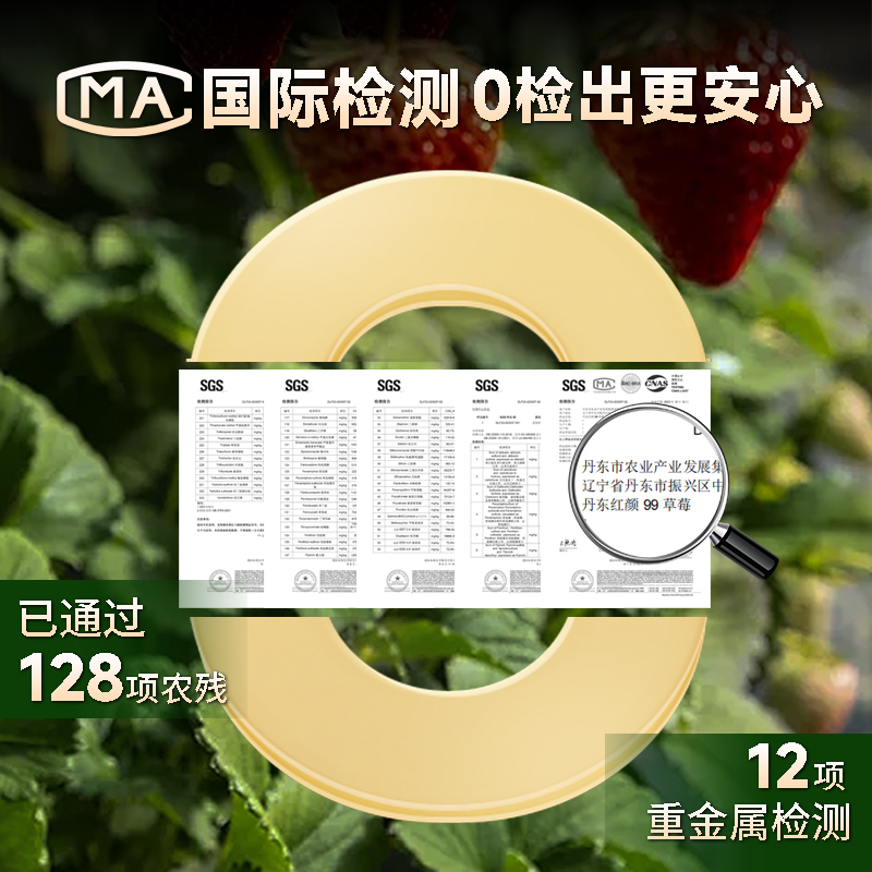 丹东草莓新鲜水果应季红颜99草莓3九九牛奶奶油大甜草莓5久久礼盒