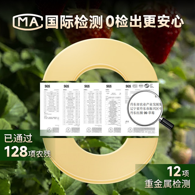 Authentic Dandong 99 Strawberry