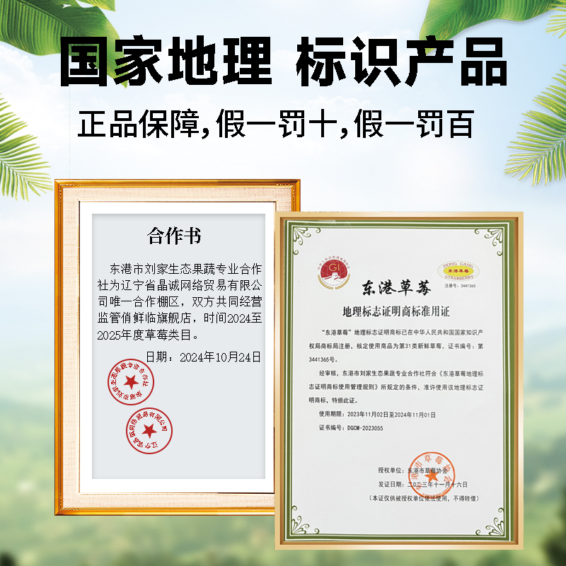 丹东草莓新鲜水果应季红颜99草莓3九九牛奶奶油大甜草莓5久久礼盒