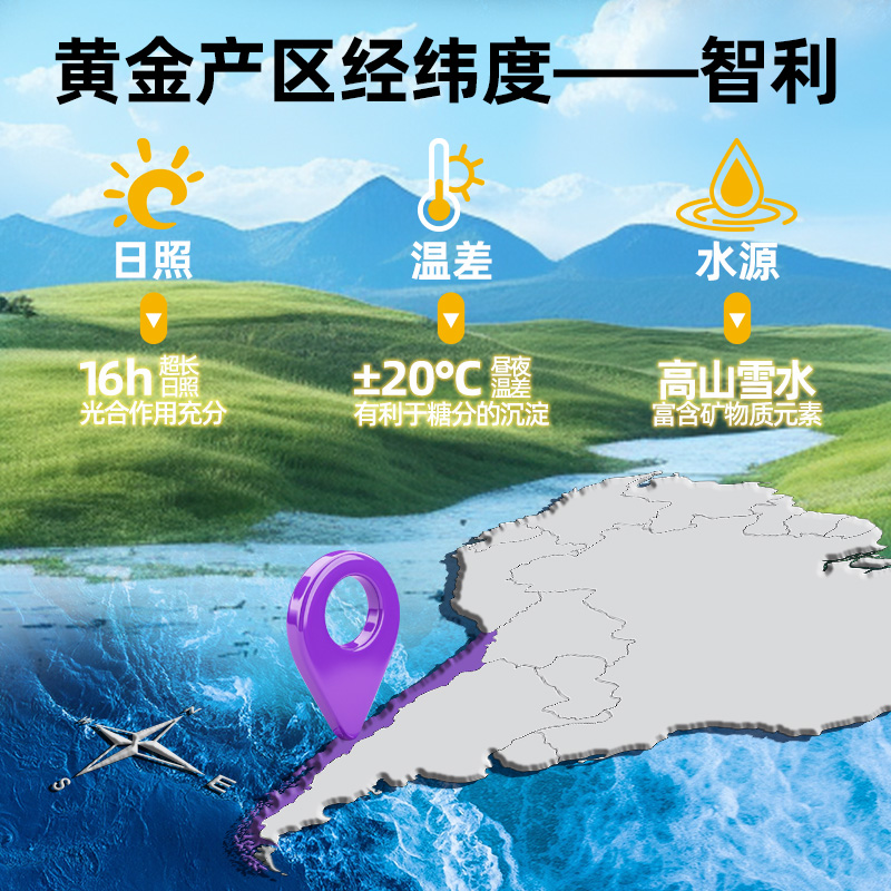 可派客智利西梅干果干蜜饯无糖无添加孕妇休闲零食