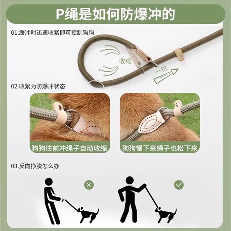 巨贵犬狗狗绳子防爆冲P链遛狗牵引绳防挣脱狗链子中大型犬 - 图2