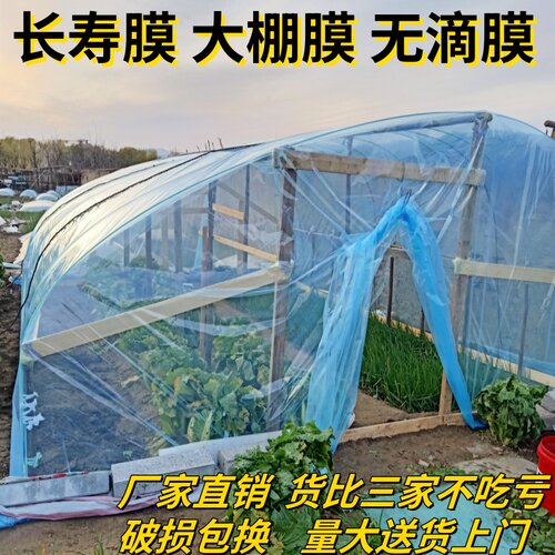 进口大棚膜无滴膜高透光消雾PO膜草莓膜蔬菜大棚小拱棚内膜塑料布 - 图3
