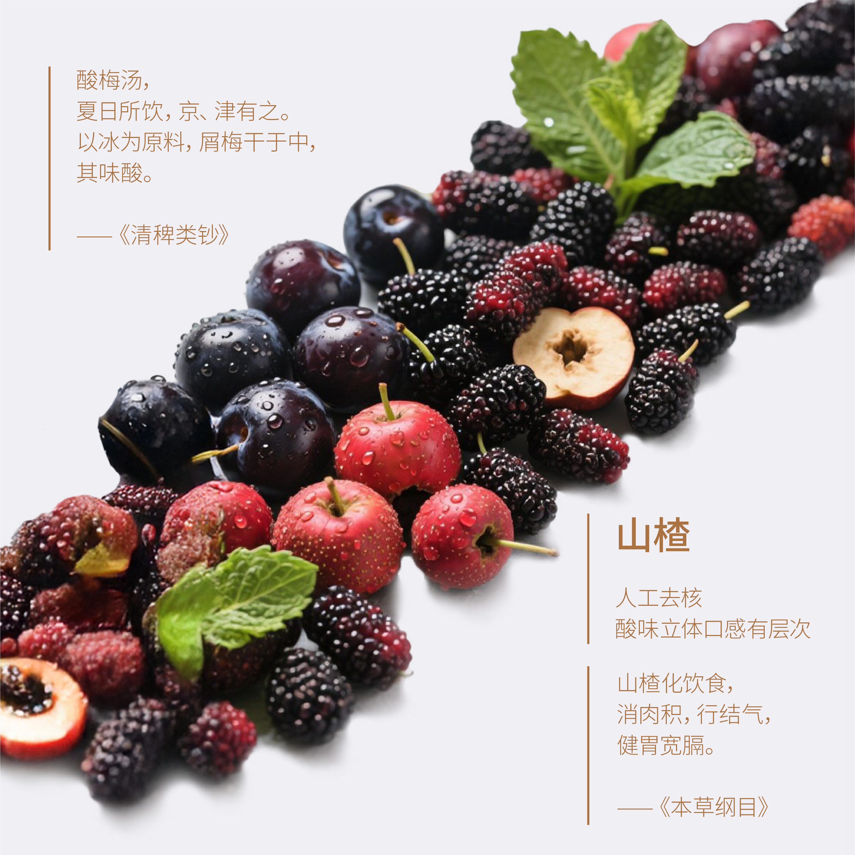 boko不渴茶薄荷酸梅汤茶包桑葚乌梅解腻解渴袋泡茶养生茶饮冷泡,淘宝优惠券,粉丝福利购,淘宝优惠卷