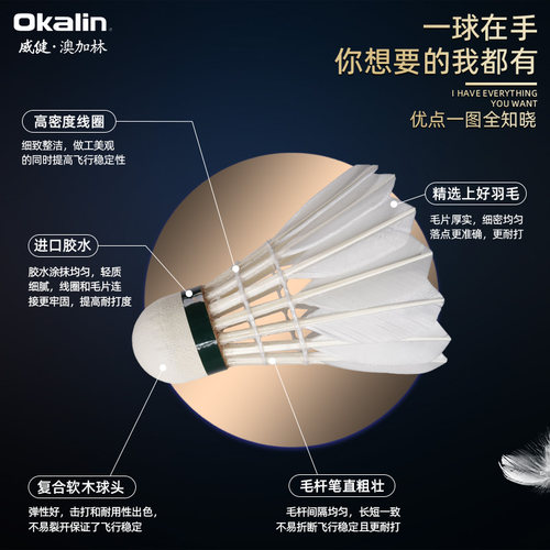 威健Okalin澳加林羽毛球AC4比赛AC9专业训练稳定耐用耐打F500 - 图1