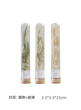 现代样板间工作室桌面软装试管干花标本蝴蝶摆件书房托盘套装饰品