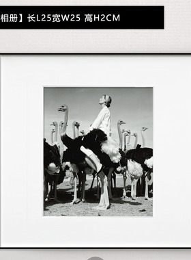 现代轻奢样板间书柜软装饰