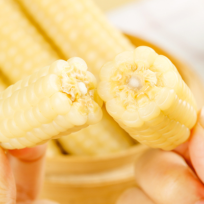 华田禾邦拇指玉米香糯玉米组合