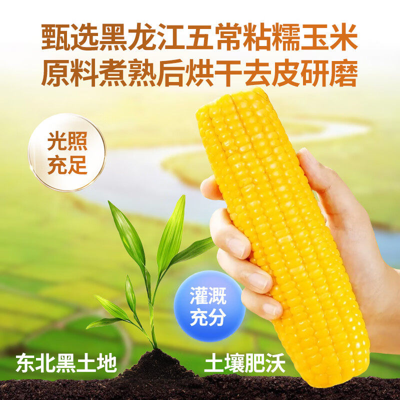 东北玉米碴子细糯玉米糁笨农家粗粮2025年新产季煮粥焖饭苞米碴