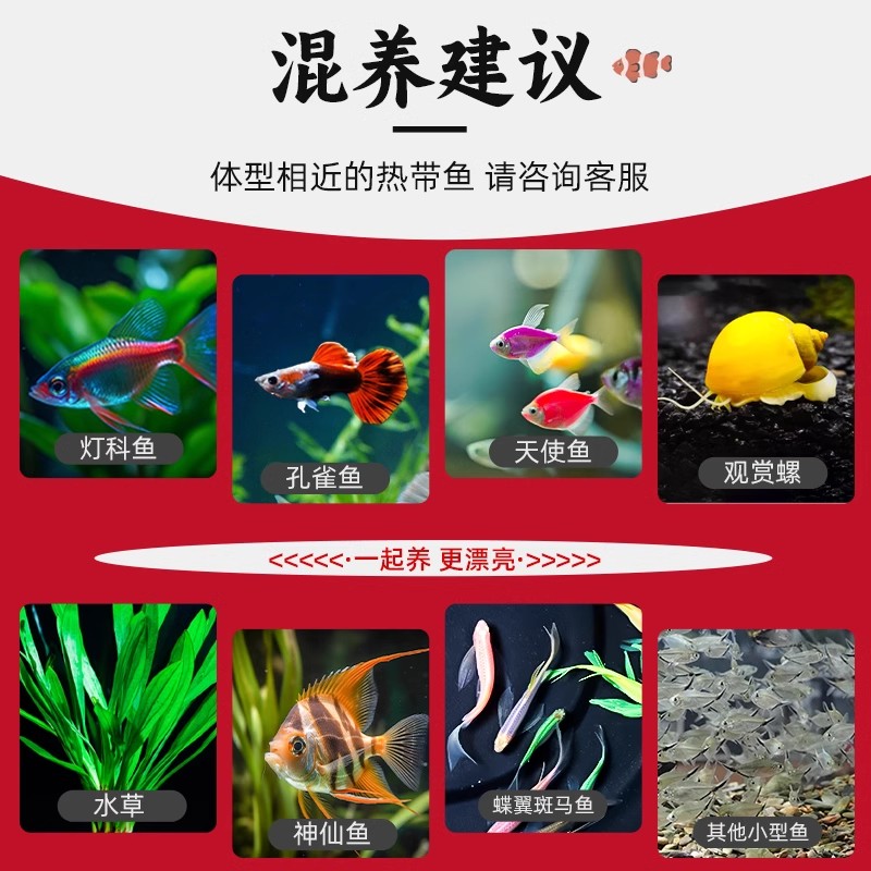 商品详情图片