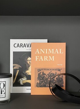 现代样板房软装高级感摆件轻奢装饰桌面书柜树脂玻璃工艺品ZH3701