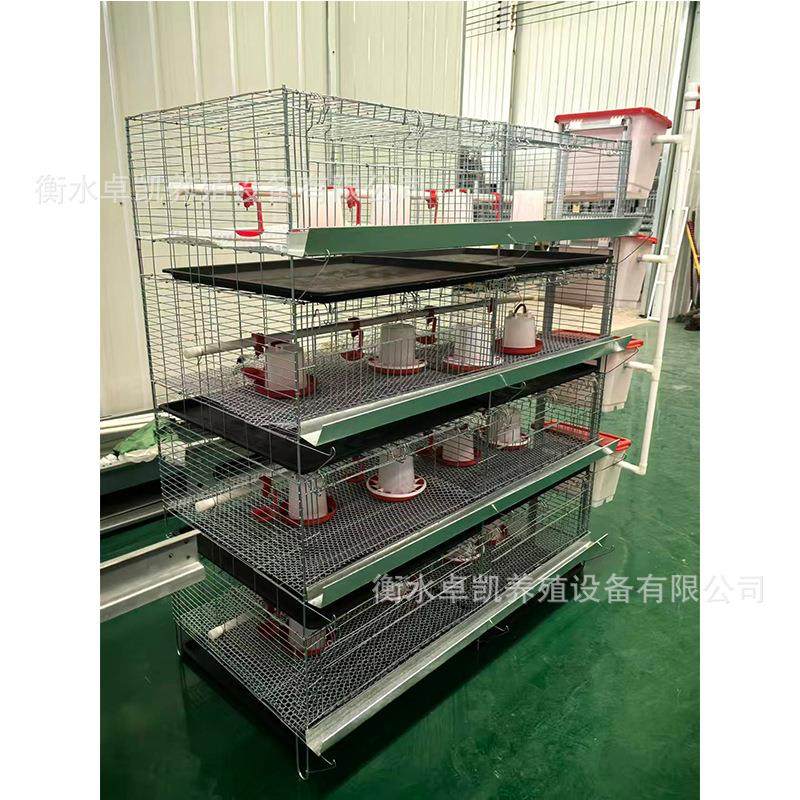 一体四层立式小鸡笼层叠式育雏笼自动化青年鸡笼养殖笼铁槽,淘宝优惠券,粉丝福利购,淘宝优惠卷