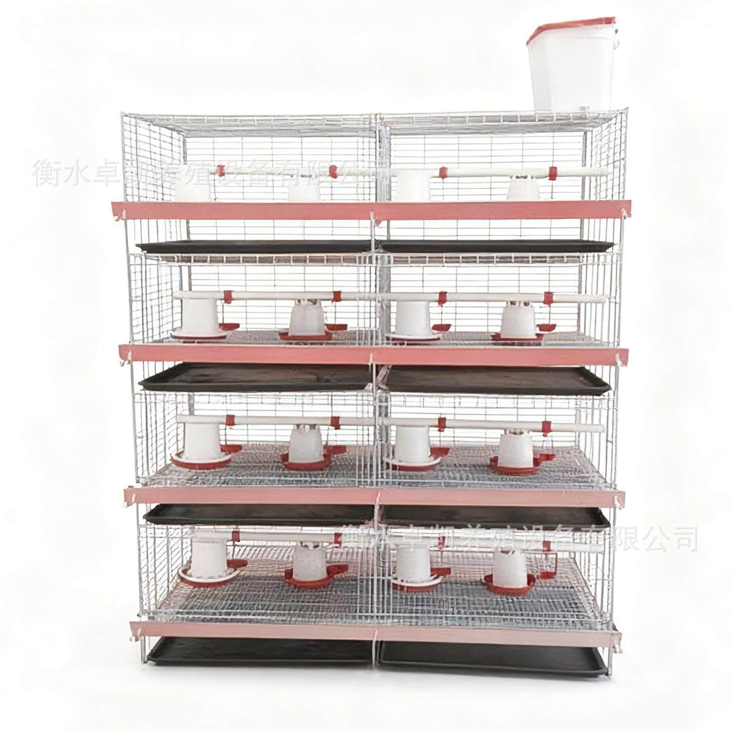 一体四层立式小鸡笼层叠式育雏笼自动化青年鸡笼养殖笼铁槽,淘宝优惠券,粉丝福利购,淘宝优惠卷