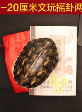 天然完整干净真乌龟壳文玩t盘玩手把件龟甲家具客厅摆件送卦册铜