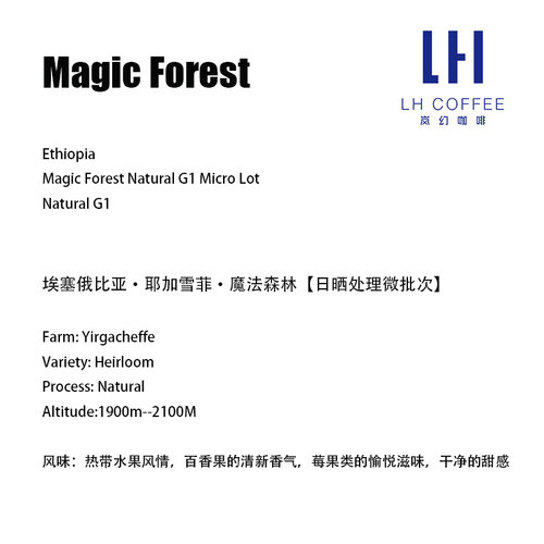 新鲜现磨挂耳咖啡埃塞俄比亚耶加雪菲魔法森林日晒咖啡豆 10包/盒 - 图0