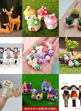 极速新疆乌鲁木i齐发货微景观摆件多肉摆件瓢虫小兔子蘑菇