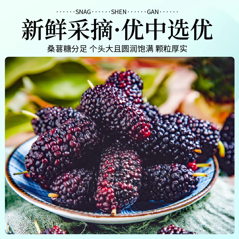 桑葚干大颗粒无沙免洗食用桑椹果干泡水泡茶即食干货桑椹特级无沙,淘宝优惠券,粉丝福利购,淘宝优惠卷