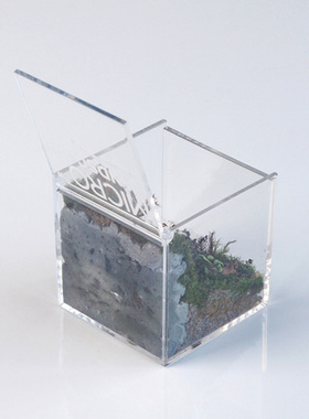 定制亚克力培养基生态盒办公室摆件节日礼品翻盖盒子桌面景观盒