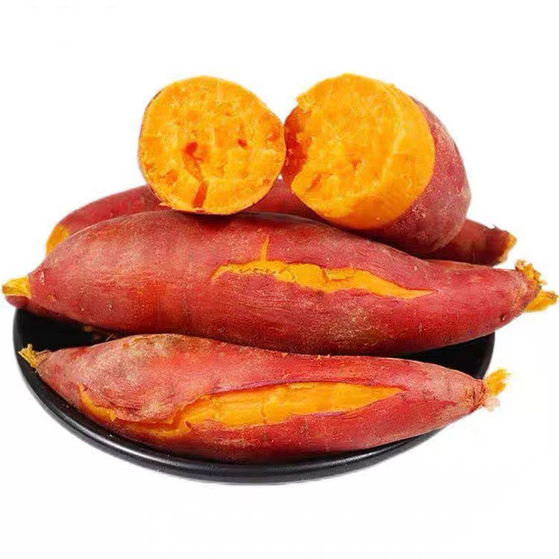 现挖糖心蜜薯9斤红薯新鲜蔬菜农家自种小香薯烤番薯沙地板栗地瓜