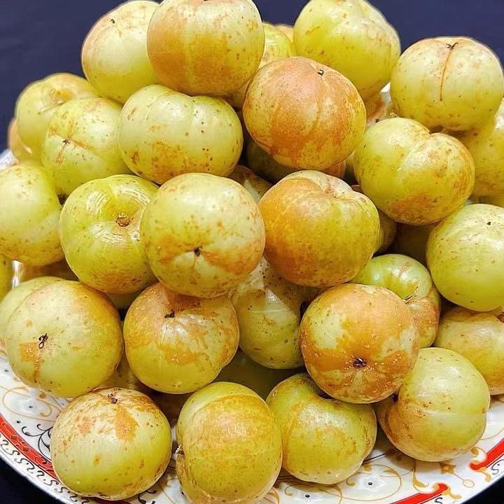 崩坎油甘果新鲜甜种油甘柿饼甜油甘牛甘榨汁余甘果玉油柑农家水果 - 图0