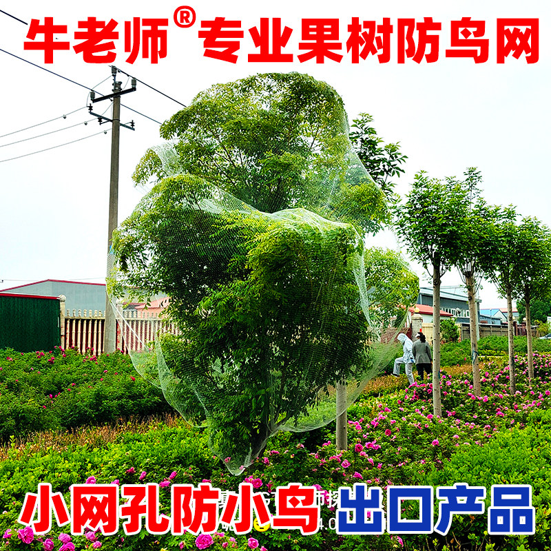 图4