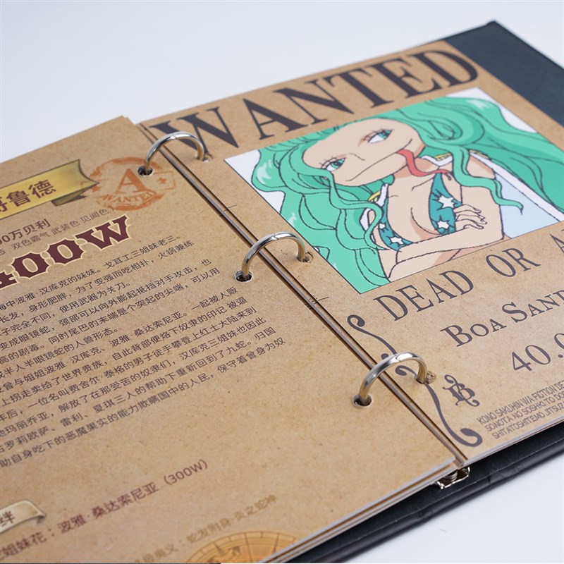 A4A5卡册文件夹 样板册活页x夹档案夹定制招标会议文件夹LOGO印制 - 图1