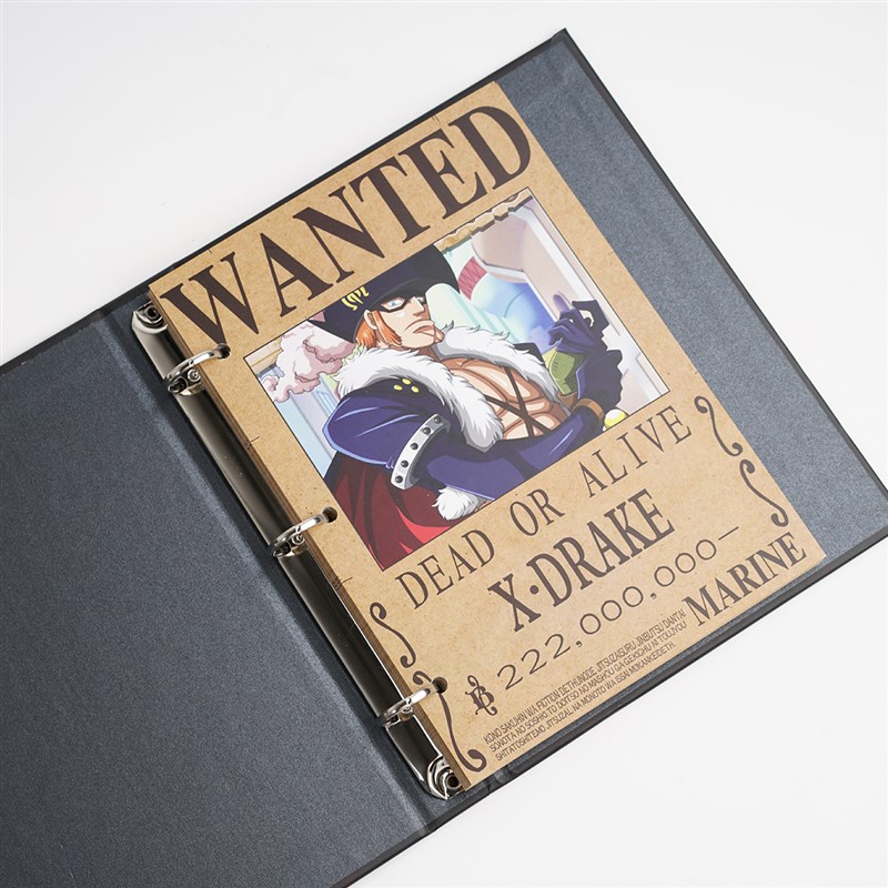 A4A5卡册文件夹 样板册活页x夹档案夹定制招标会议文件夹LOGO印制 - 图0