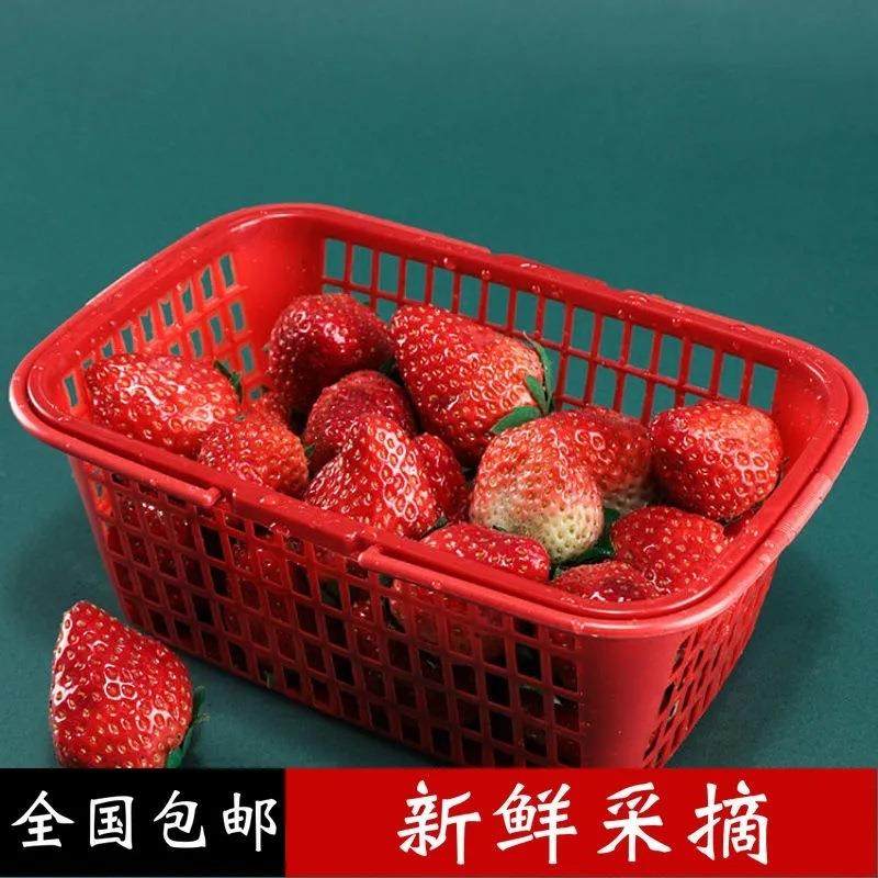 草莓篮子樱桃篮采摘篮水果篮塑料篮杨梅枇杷桑葚篮装小鸡蛋篮,淘宝优惠券,粉丝福利购,淘宝优惠卷