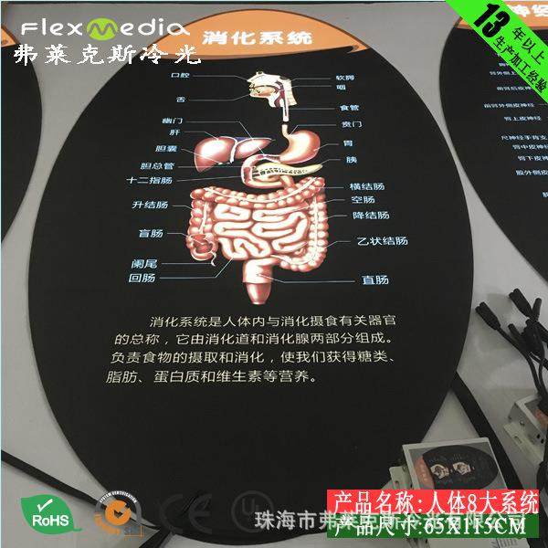 科技馆展馆新方案，人体八大系统－循环系统 EL冷光片，超薄灯箱,淘宝优惠券,粉丝福利购,淘宝优惠卷