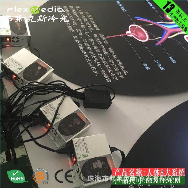 科技馆展馆新方案，人体八大系统－循环系统 EL冷光片，超薄灯箱,淘宝优惠券,粉丝福利购,淘宝优惠卷