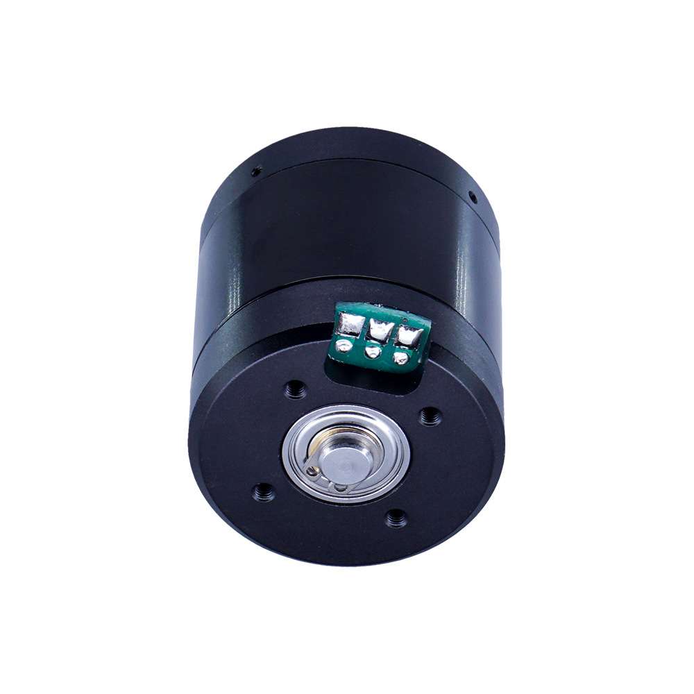 F4125直流冲浪板防水电机水下推动器机器人模型微型小马达300kv - 图0