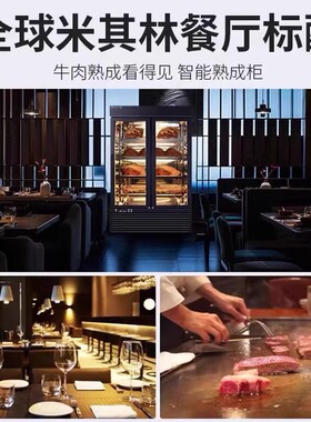 包开税票牛肉干湿熟成柜支持定制