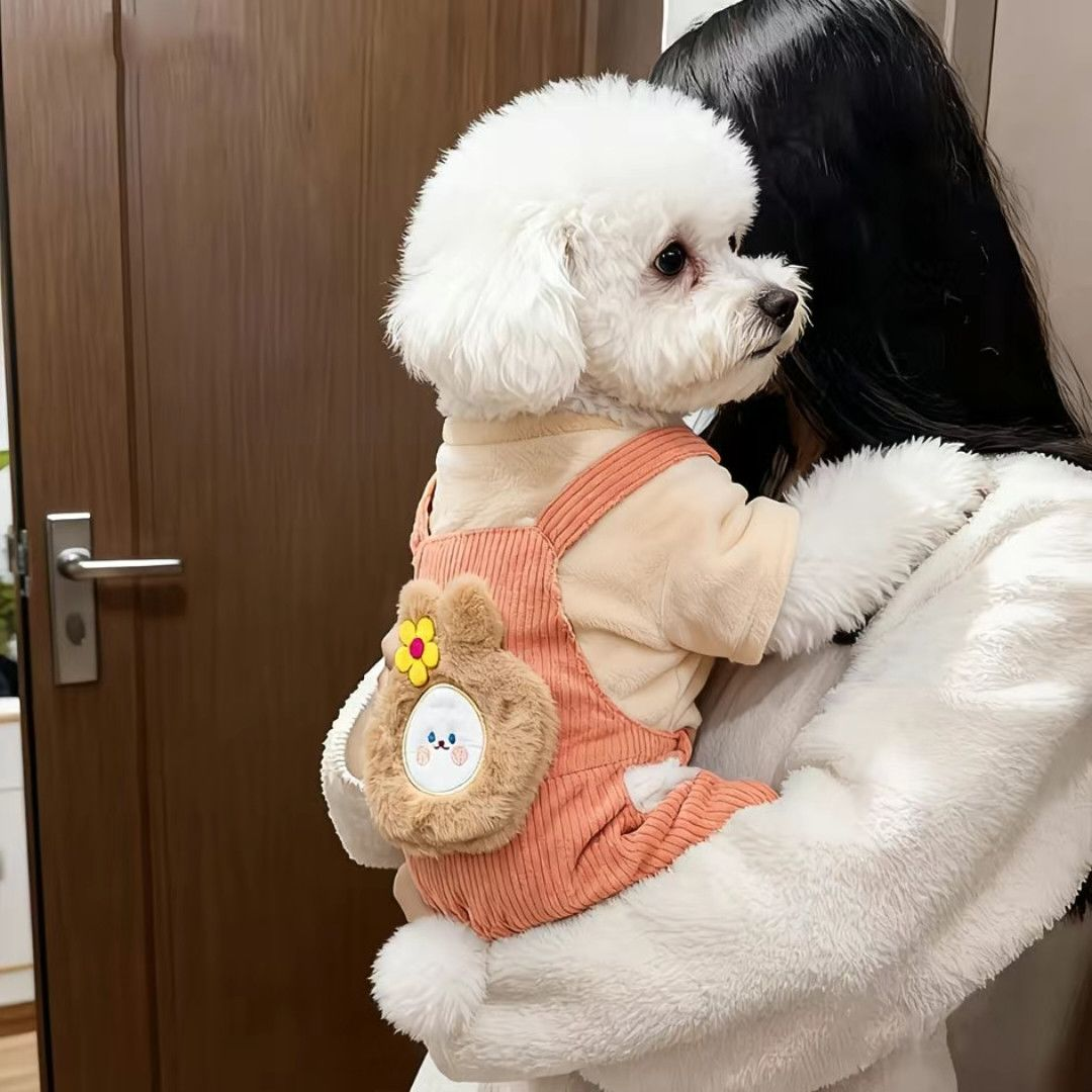 狗狗衣服可爱小熊四脚衣冬季保暖毛绒宠物泰迪比熊小型犬服装加厚,淘宝优惠券,粉丝福利购,淘宝优惠卷