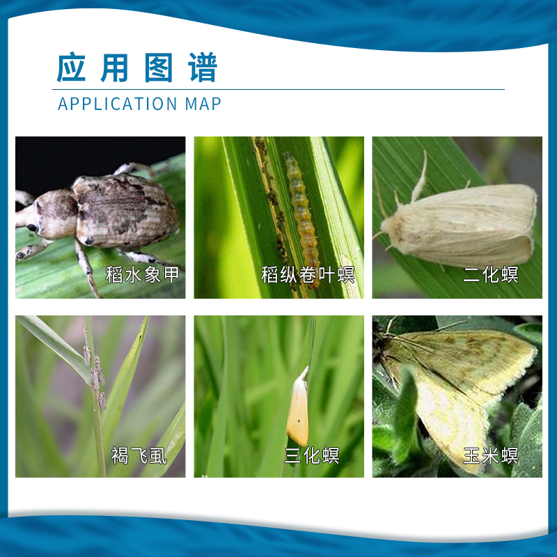 先正达福戈氯虫苯甲酰胺噻虫褐飞虱螟二三化螟农药杀虫剂4g*120袋