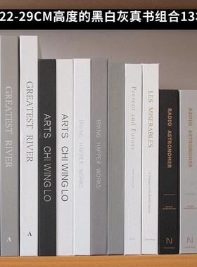 黑白灰色系简约装饰道具书 样板房摆场现代真书售楼处陈列饰品