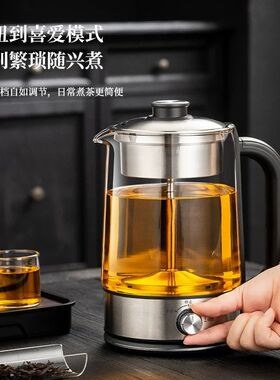 2.6升大容量煮茶器蒸汽喷淋式家用保温黑茶蒸煮两用养生壶赛普龙