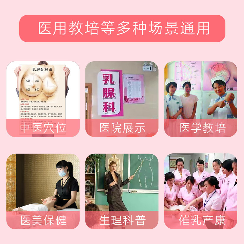 极速假乳房模型教具女性仿真医学催乳G师产康月嫂培训教学手法硅,淘宝优惠券,粉丝福利购,淘宝优惠卷