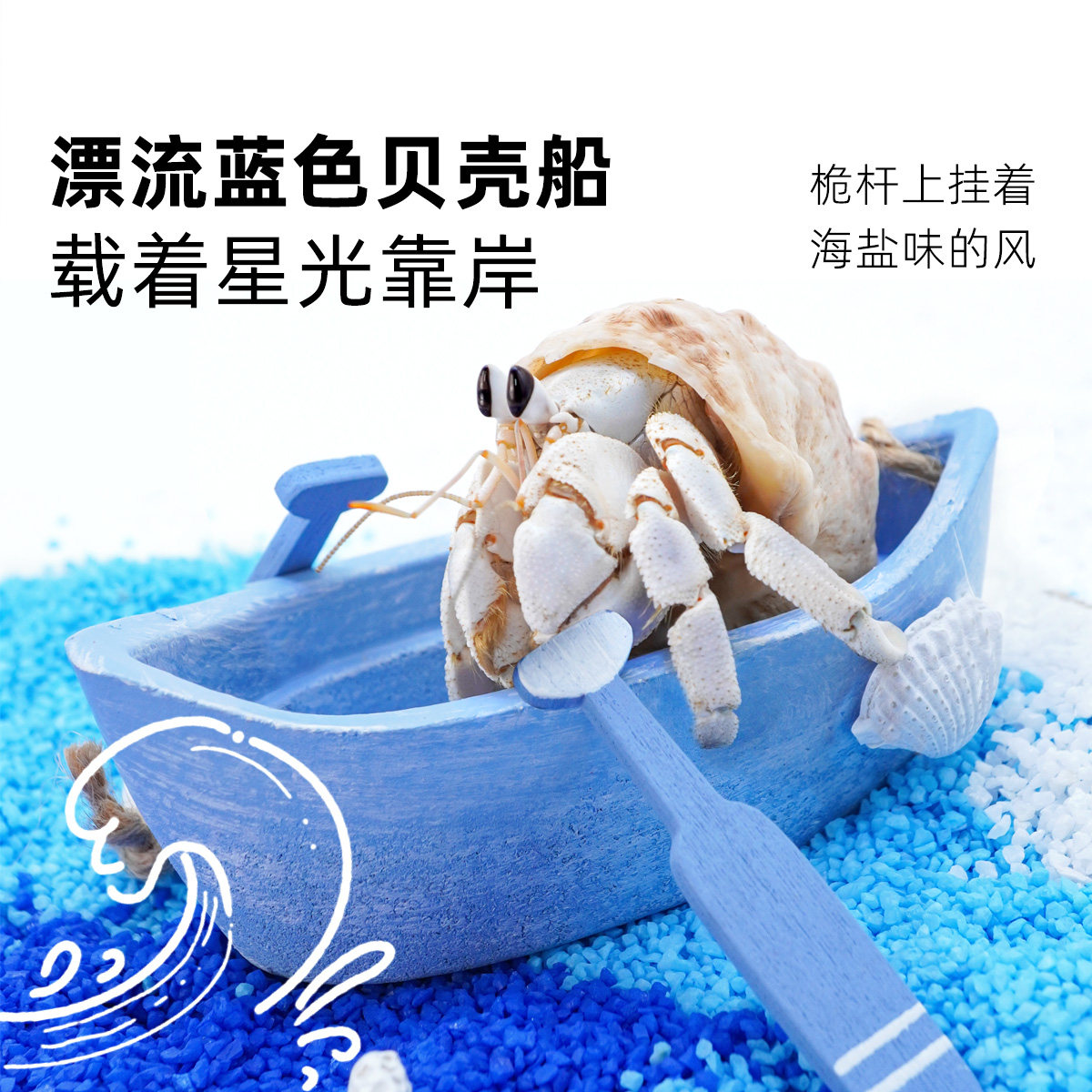 寄居蟹活体新手饲养套餐套装～高透亚克力饲养盒箱儿童礼物萌宠,淘宝优惠券,粉丝福利购,淘宝优惠卷