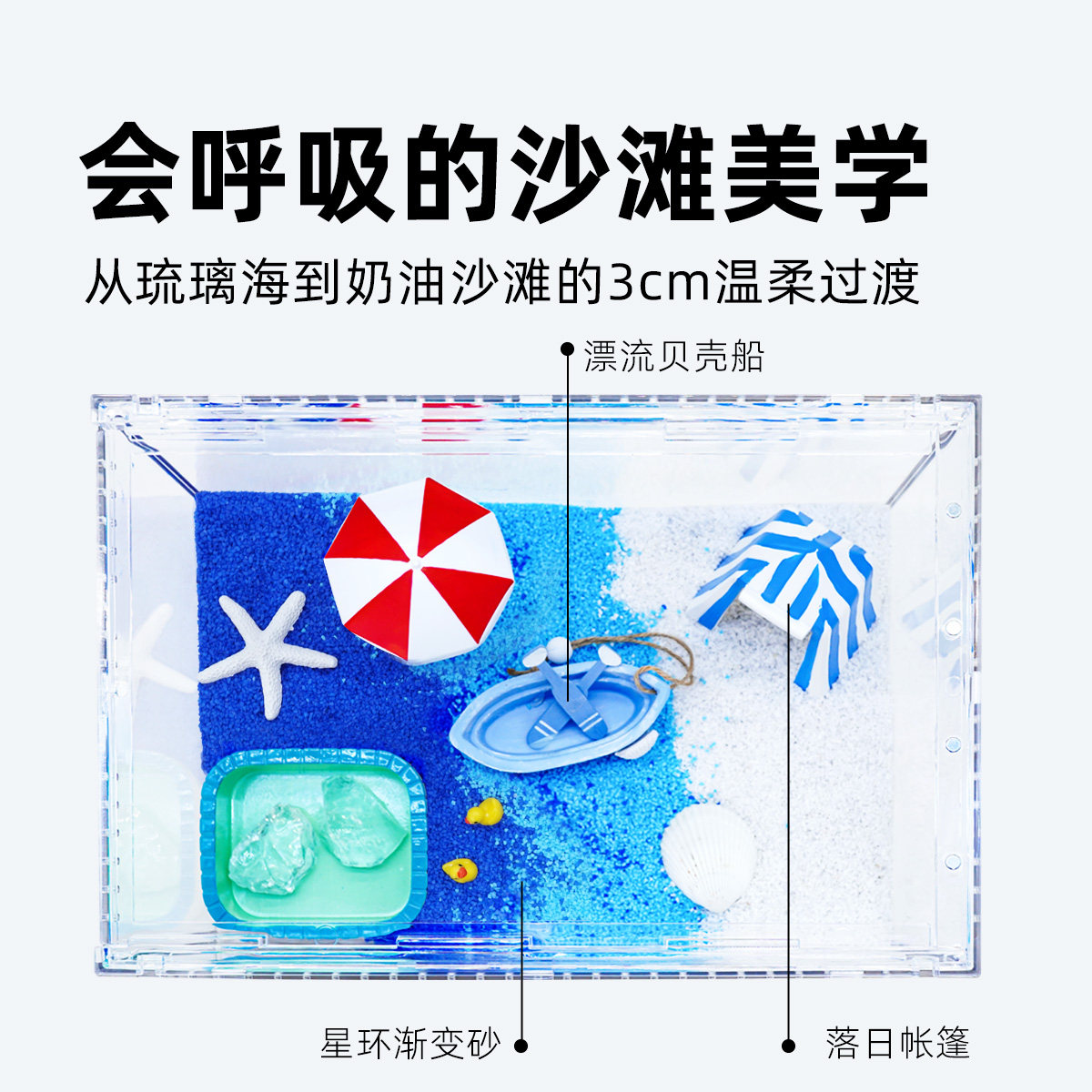 寄居蟹活体新手饲养套餐套装～高透亚克力饲养盒箱儿童礼物萌宠,淘宝优惠券,粉丝福利购,淘宝优惠卷