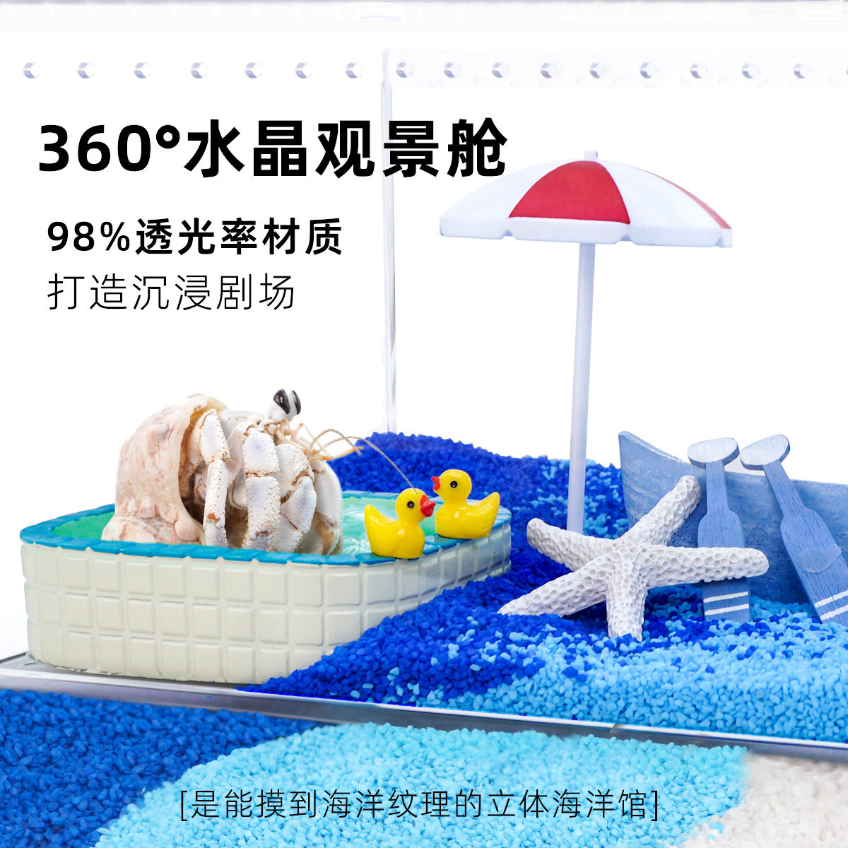 寄居蟹活体新手饲养套餐套装～高透亚克力饲养盒箱儿童礼物萌宠,淘宝优惠券,粉丝福利购,淘宝优惠卷