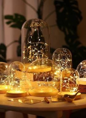 极速玻璃罩子透明展示p罩干花盒防尘圆球形发光摆件工艺品文玩粘