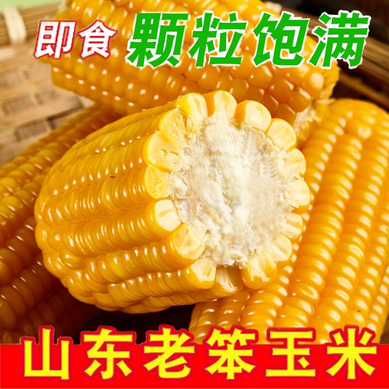 真空传统老式笨玉米即食10根山东农家免蒸煮熟西沂州代餐健身 - 图1