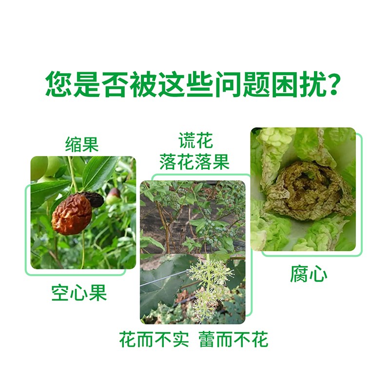 绿陇流体硼液体硼糖醇硼促花芽分化促花促果微肥水溶硼肥果树农用 - 图1