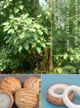 极速白玉菩e提戒指自己做情侣对戒手工diy工具材料包半成品送男女